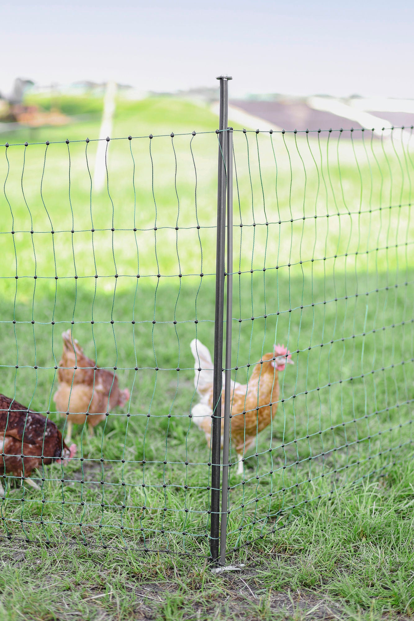 Unterstützungspfahl für Weidenetze, 145cm, Ø14mm,verzinkt, VPE 4Stück