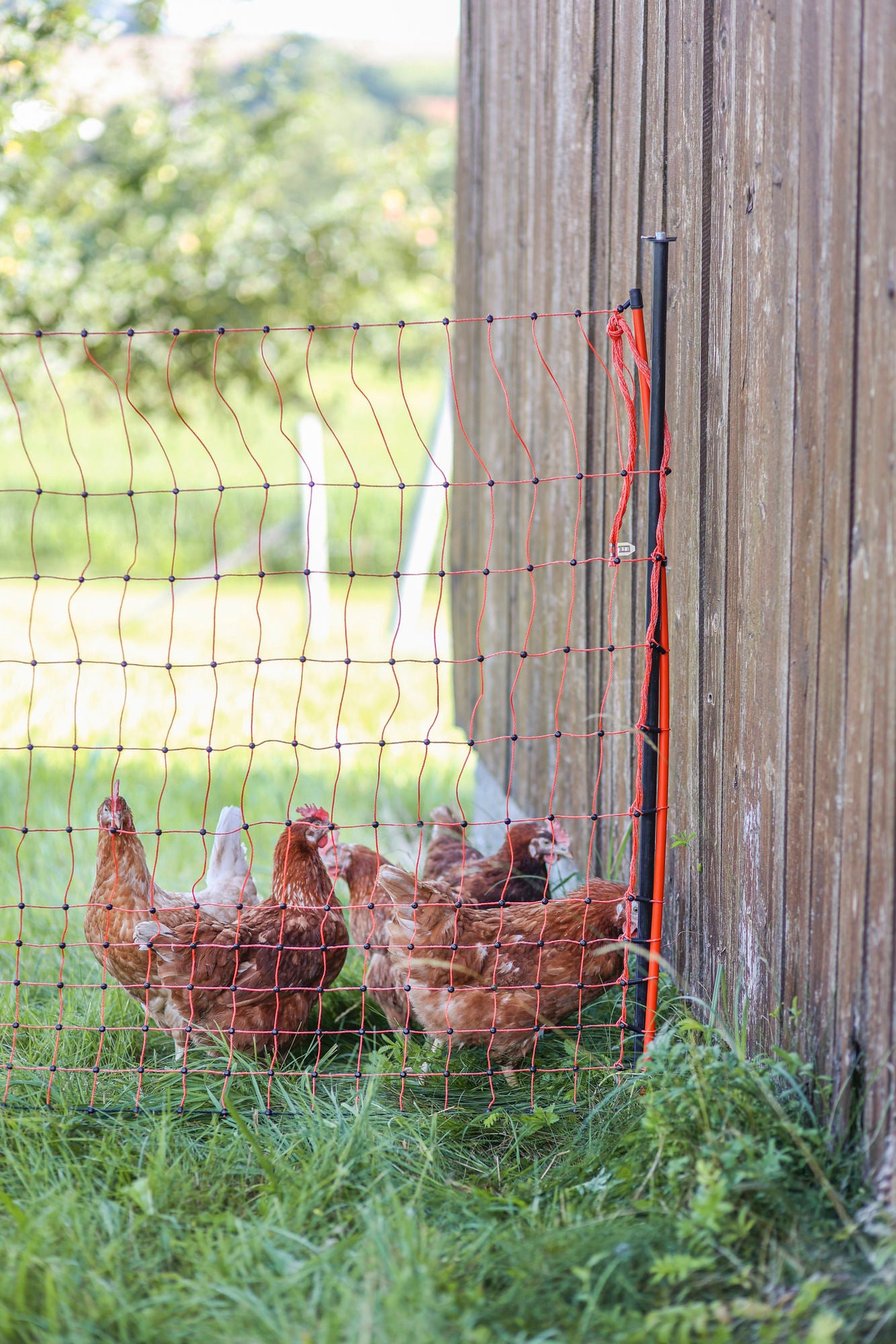 Unterstützungspfahl für Weidenetze, 145cm, Ø14mm,verzinkt, VPE 4Stück