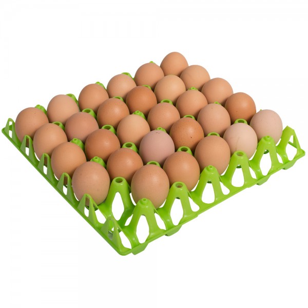 Eierhorde für 30 Hühnereier, grün, 302x304mm, Eiermaß max 49mm