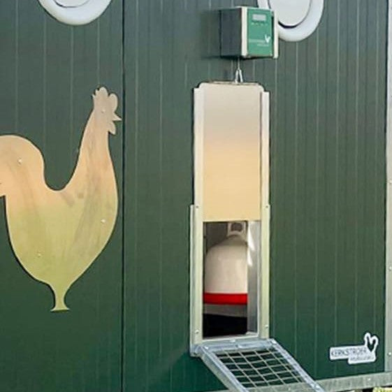 Hühnertür Messeangebot Komplett-Set Auslaufluke klein